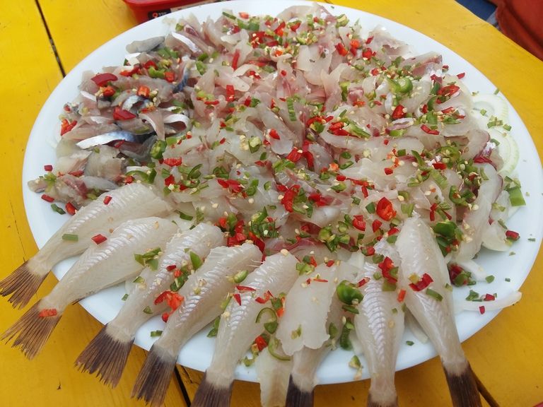 통영 배낚시~통영바다낚시~이렇케 회 드실수 있습니다.~~~~