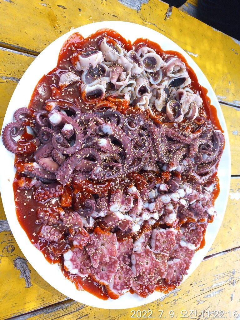 통영스피드배낚시  문어와 체험낚시