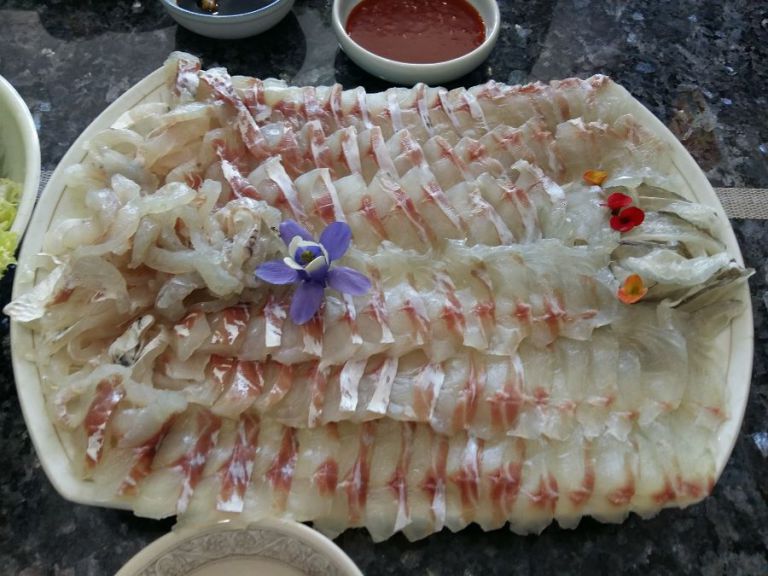 오늘은 감성돔 회로~~~~