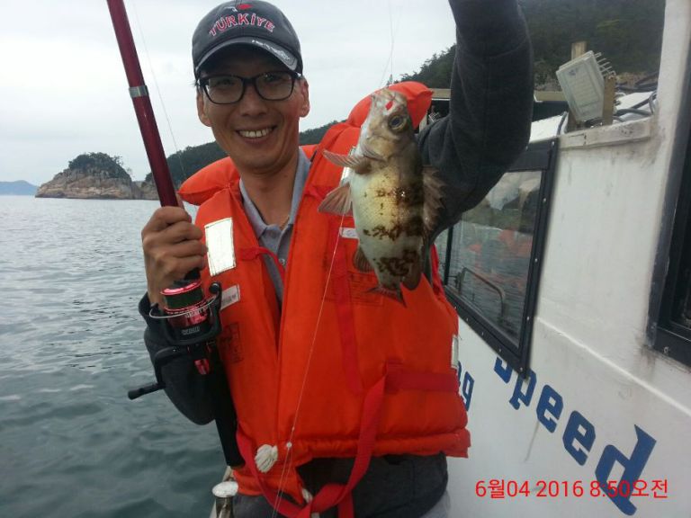 즐거운 바다낚시 볼락 전갱이 