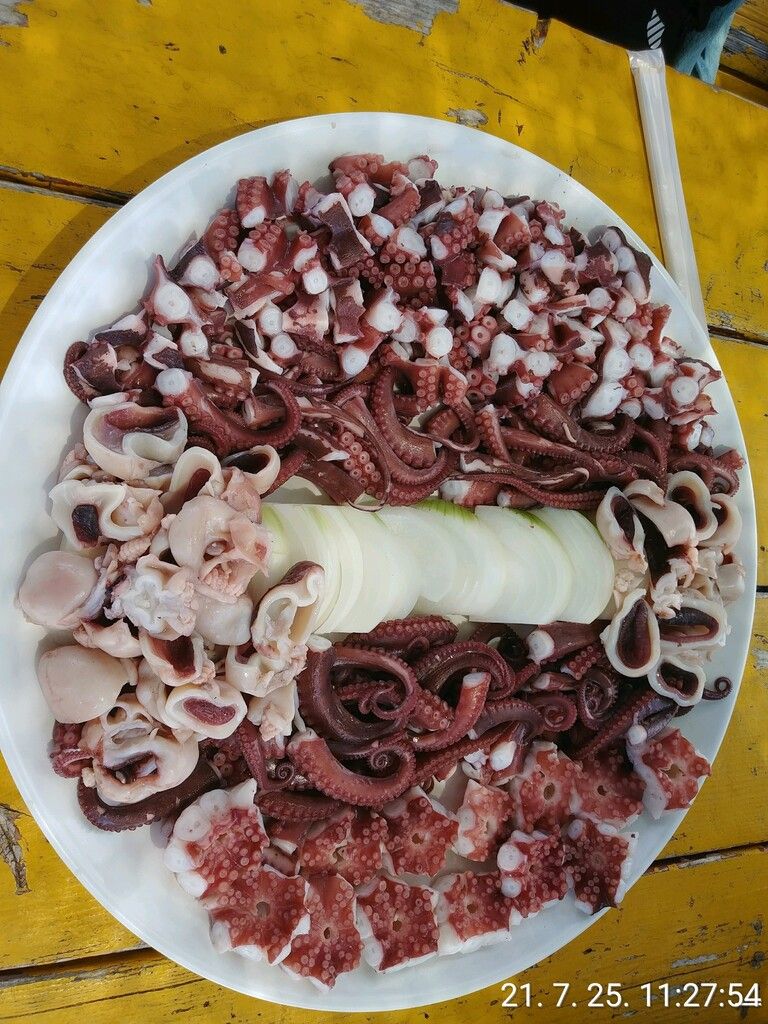 꿀잼꿀잼