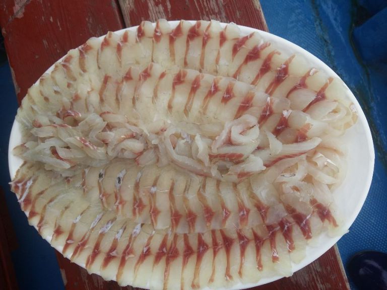 통영 배낚시/통영배낚시/거제배낚시/초보낚시전문 통영스피드낚시 입니다.