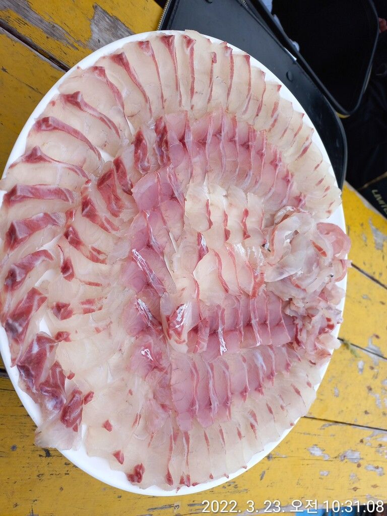 즐거운 체험낚시 통영으로 오세요~~~