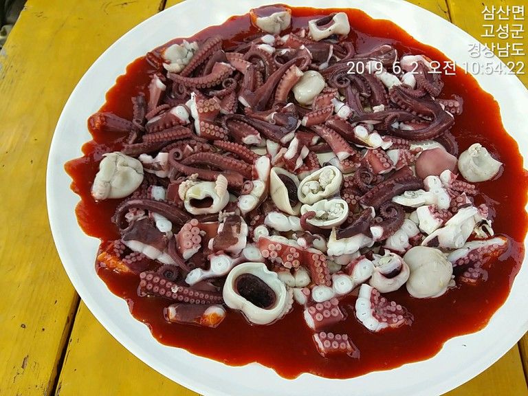 언제든지 연락 주세요~맛난회로 모시겠습니다.통영배낚시,통영낚시체험,문어낚시