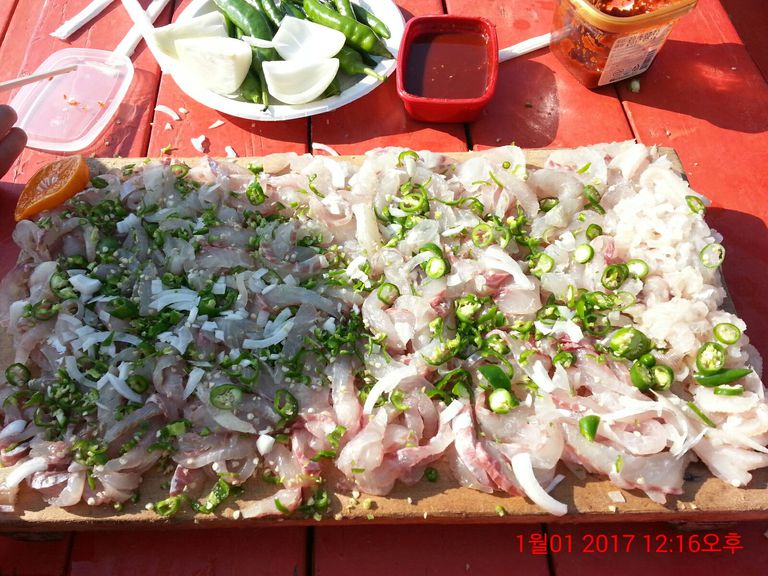 아름다운 회 통영스피드 배낚시 입니다.