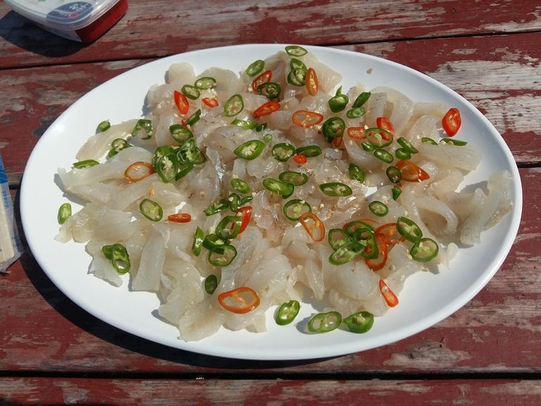 통영배낚시~재밌따.손맛에 회까지.........