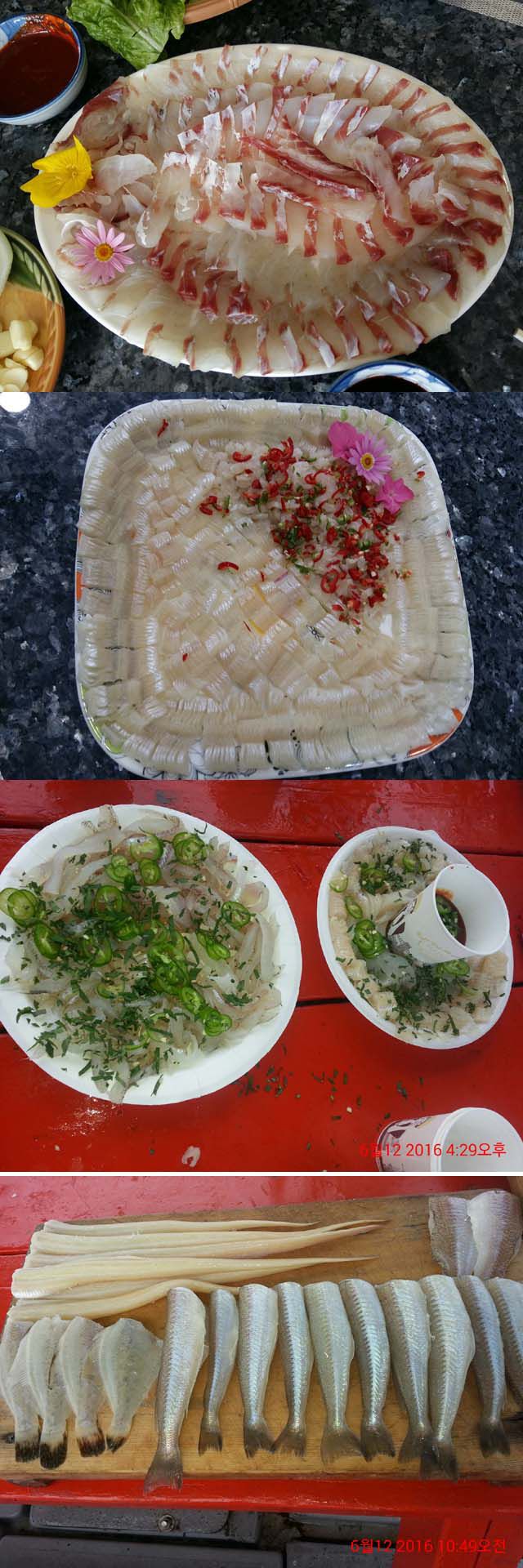 통영배낚시,거제배낚시,통영 배낚시,바다낚시전문 통영스피드낚시입니다.