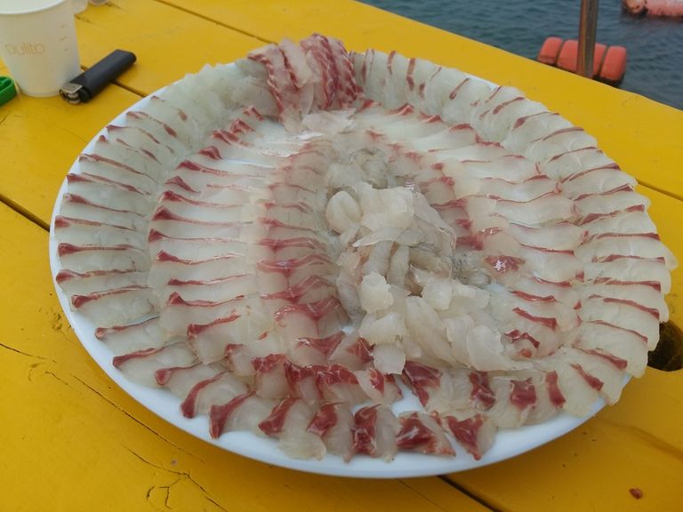 회가~너무 맛있어요^^^^^^^^^^^