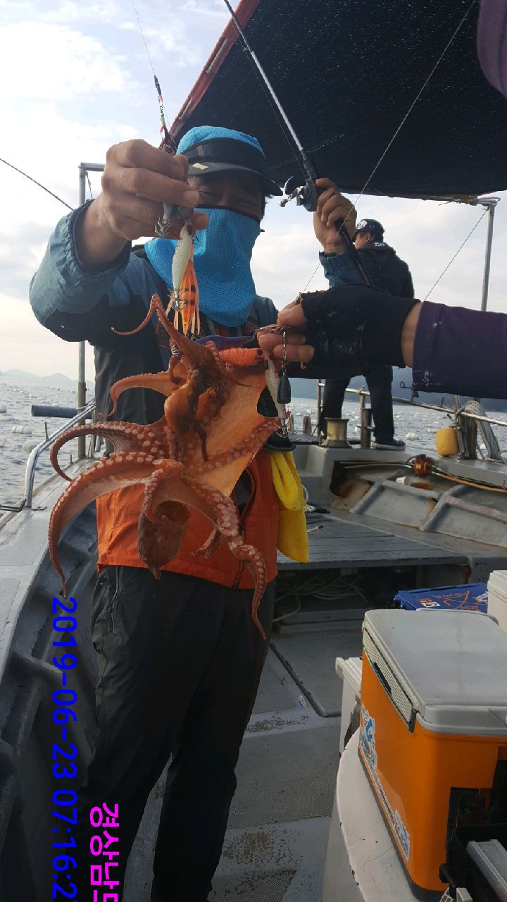 문어~쫙쫙 달라붙는 돌문어 잡고 숙회 묵고~~ 